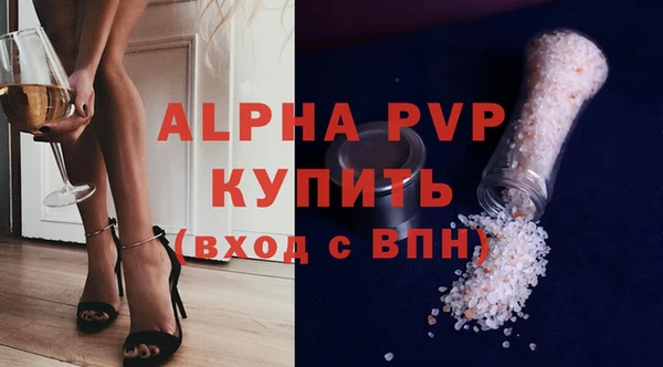 прущие грибы Балабаново