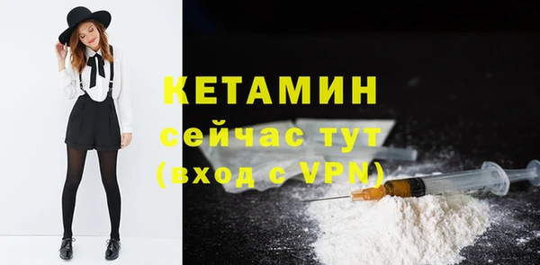 сатива Баксан