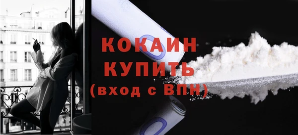 прущие грибы Белоозёрский