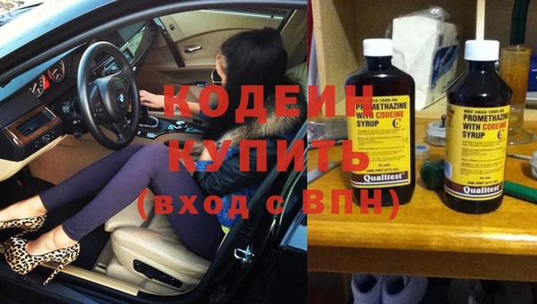 сатива Баксан