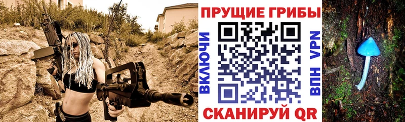 Галлюциногенные грибы Cubensis  продажа наркотиков  omg ONION  Верхнеуральск 